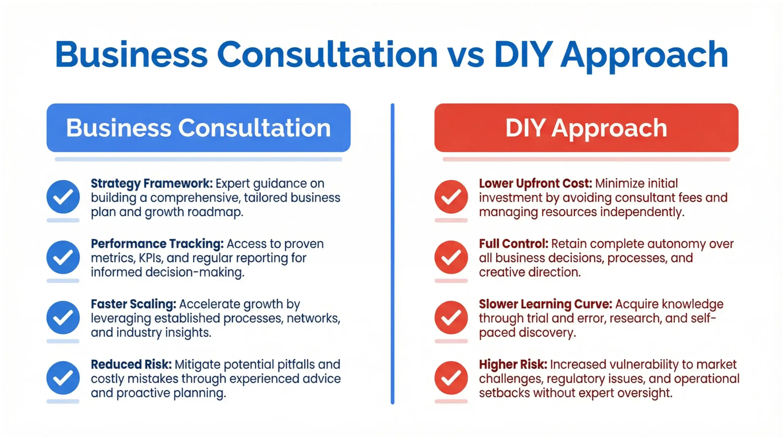 Business consultation vs DIY comparison infographic explaining strategic growth differences